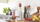 Blender Cecotec Power Titanium 500 EasyGo, 500W, 2 shishe 600ml, i bardhë