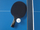 Raketë pingpongu Donic CarboTec 7000, ofanzive, me mbulesë