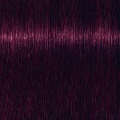 Ngjyrë për flokë Schwarzkopf Igora Royal, Violet Red 4-99, 60 ml
