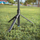 Selfie stick tripod Wozinsky WST-360YS, 360°, ndjekje inteligjente e fytyrës me AI, i zi