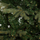 Pemë artificiale Krishtlindjesh Fééric Lights and Christmas Richland, 150cm, jeshile
