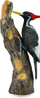 Фигурина птица CollectA 88802 Woodpecker Beak, пластика, многубојна