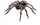 Figurinë koleksionuese Papo Common Spider, e punu me dorë, model 50292