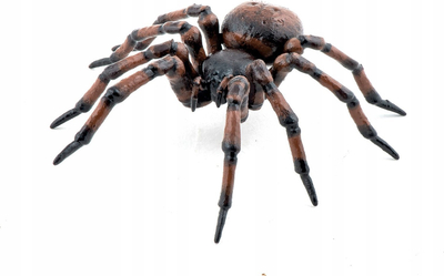 Figurinë koleksionuese Papo Common Spider, e punu me dorë, model 50292
