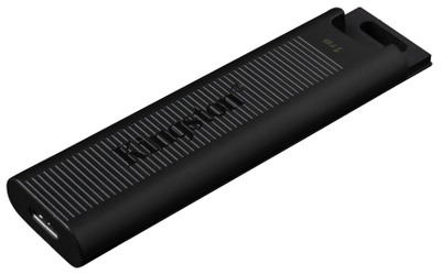 USB Kingston DataTraveler Max, 1TB, i zi