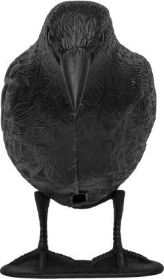 Statujë zmbrapse zogjsh Garden Raven, plastike rezistente, për kopsht, e zezë