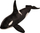 Lodër pelushi LEAN TOYS Orca, 75 cm, 3+ vjeç, bardh e zi