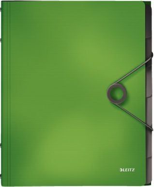 Dosje me ndarje Leitz FOLDER 45691050, 6 ndarje, e gjelbër