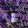 Sprej me ujë livando Alteya Organics, bio, 60ml, për fytyrë
