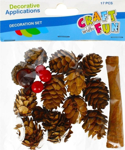 Set dekorativ Craft with Fun DEC NATURE PINECONE, 17 copë, aksesorë për zbukurim