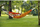 Varëse Amazonas Barbados, 230 x 150 cm, dyshe, papaja