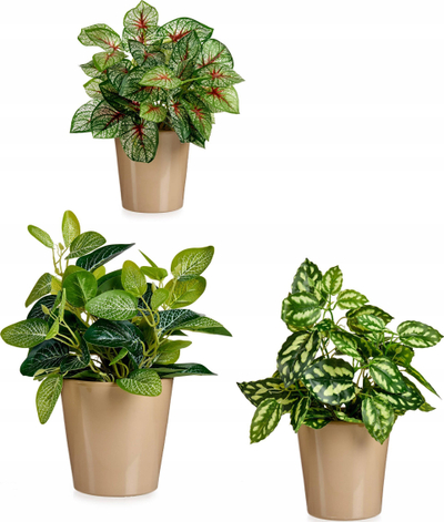 Set vazo lulesh Ibergarden, 3 copë, qeramike, 11-17cm, bezhë