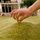 Tapet rrumbullak Strado Round Shaggy, 100x100 cm, antirrëshqitës, jeshil