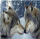 Mozaik diamanti Norimpex Two Wolves Winter Forest NO-1008519, set kreativ, dekor muri, shumëngjyrësh