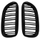 Grillë e përparme BMW Seri 6 E63 E64, Black Double Line, 2004-2010, e zezë
