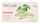 Set ampula qetësuese për lëkurë DECLARÉ Stress Balance Skin Soothing Effect Ampoule, 7 x 2.5 ml
