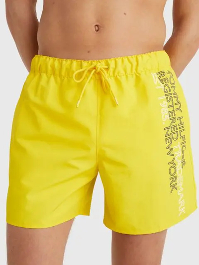 Shorce Tommy Hilfiger UM0UM02742ZGS