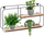 Raft muri Trends4You, metal dhe MDF, 52 x 10.5 x 29 cm, i zi