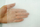 Неткаено платно Agrononwoven, 1.1x10m, 17g m², бело
