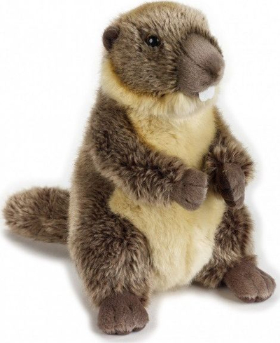 Maskot i Groundhogut National Geographic