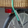 Litar elastik Master Lock Flat Bungee, 80cm, me dy grepa, i gjelbër