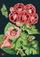 Kartolinë urimi Madame Treacle Pink Geranium B6, me zarf, shumëngjyrëshe