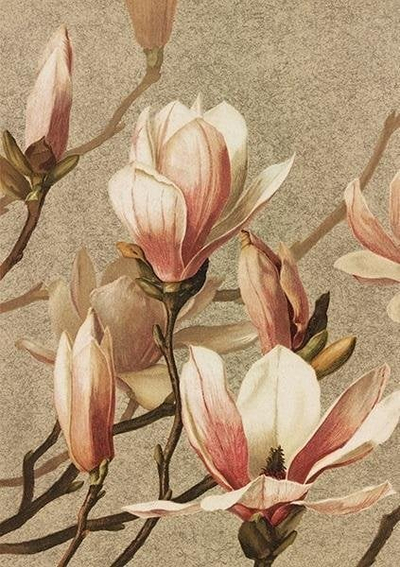 Kartolinë Skona Ting ST400 B6, me zarf Magnolia