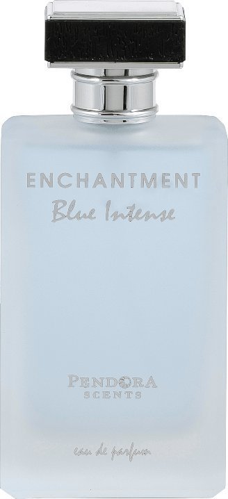 Parfum Pendora Scents Enchantt Blue Intense Eau de Parfum, 100ml, për burra