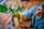Set LEGO NINJAGO The Dragon of Life, 8 minifigura, dragua i madh, shumëngjyrësh
