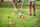 Lojë golfi BS Toys, prej druri, shumëngjyrëshe