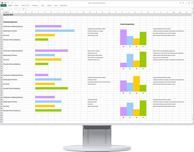 Monitor EIZO EV2456-WT - LED 24"