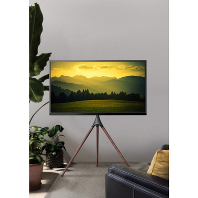 Mbajtëse për TV Techly ICA-TR18SAM, 165.1 cm (65"), e kaftë/zezë