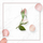 Xhel NAE Purezza. 150 ml