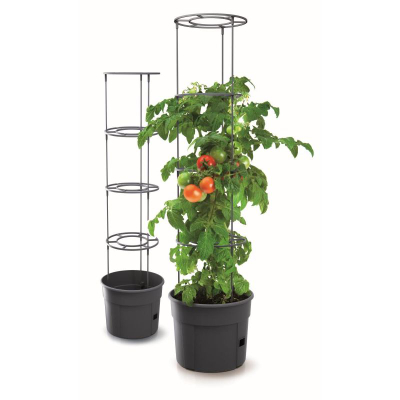 Vazo për domate Prosperplast Grower Grande, plastike, me mbështetje, ngjyrë antracit