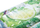 Mojito Mat 178x91 cm - Intex 58778