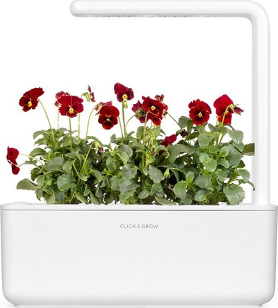 Kapsula bimore Click &amp; Grow Red Pansy, set me 3 copë, për Smart Garden, të kuqe