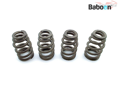 Set susta valvulash Harley-Davidson 18013-03A, për XL 1200C Sportster 2004+, metalik