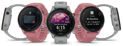 Orë dore Garmin Forerunner 255S, 010-02641-13