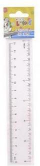 Vizore Penmate Ruler, 15 cm, e tejdukshme