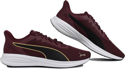 Këpucë vrapimi Puma Transport Modern M 377030 12, SoftFoam+, për burra, burgundy