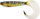 Karrem peshkimi Pro Grub 16cm / 6.25" Pike
