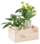 Kuti druri Domoletti Wooden Box, 21x12x9.5 cm, natyrale