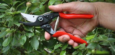 Sekator Felco 5 Classic, prerje 25 mm, dorezë e kuqe