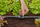 Valvul rregulluese Gardena Micro-Drip, 13 mm, gri portokalli