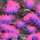 Tufa bari dekorative Gamers Grass Special Tufts, 4 mm, Alien Neon Wild, shumëngjyrëshe