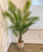 Lule artificiale Verde Decor Areca Palm, 140cm