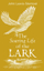 Soaring Life Of The Lark - John Lewis Stempel