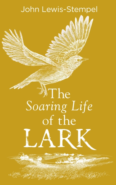 Soaring Life Of The Lark - John Lewis Stempel