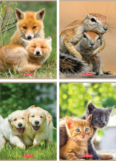 Set fletore A4 Line Animals, 32K, 10 copë, me vija