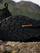 Çizme për Meshkuj, ADIDAS - IH3524